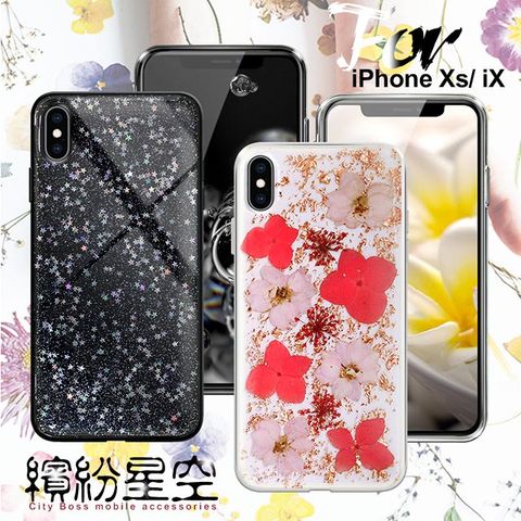 CITY BOSS CITYBOSS for iPhone Xs/ iPhone X 繽紛星空全包防滑保護殼-玫瑰金飛燕 星空 兩款任選