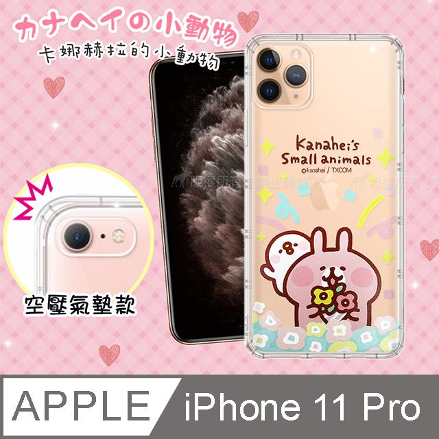   iPhone 11 Pro 5.8 吋 透明彩繪空壓手機殼(花園) 保護殼