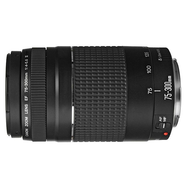 売場 【美品✨完動品】CANON EF 75-300mm f4-5.6 II