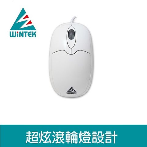 WiNTEK 文鎧 WSS-91 海豚鼠 USB