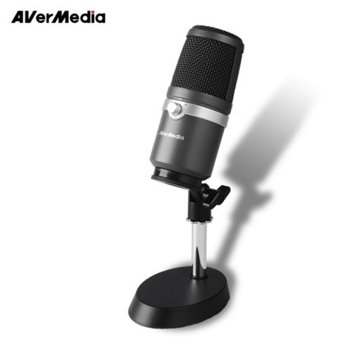 【AVerMedia 圓剛】AM310 黑鳩USB專業麥克風練唱 | 直播 | 電競