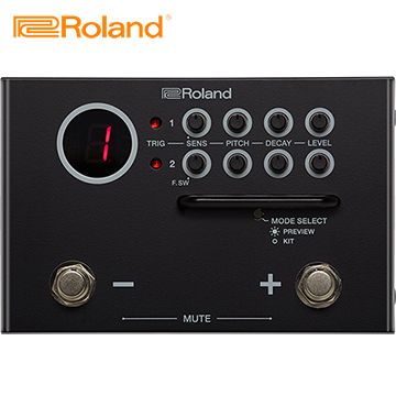 Roland 樂蘭 TM-1 拾音音源器 原廠公司貨 商品保固有保障