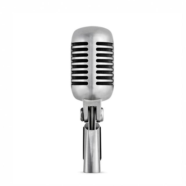 SHURE 55SH SERIES II 復古造型麥克風- PChome 24h購物