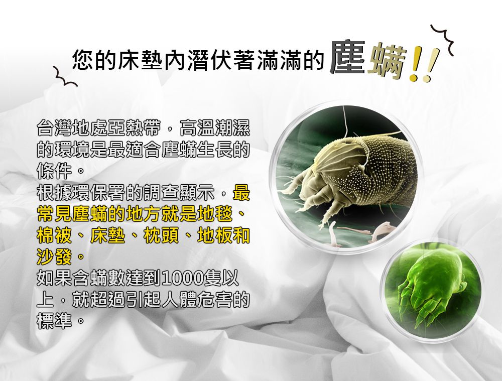 您的床墊內潛伏著滿滿的!!m台灣地處亞熱帶高溫潮濕的環境是最塵生長的 根據環保署的調查顯示最常見塵的地方就是地毯棉被、床墊、枕頭、沙發如果含數達到1000隻以。就超過引起人體危害的標準。