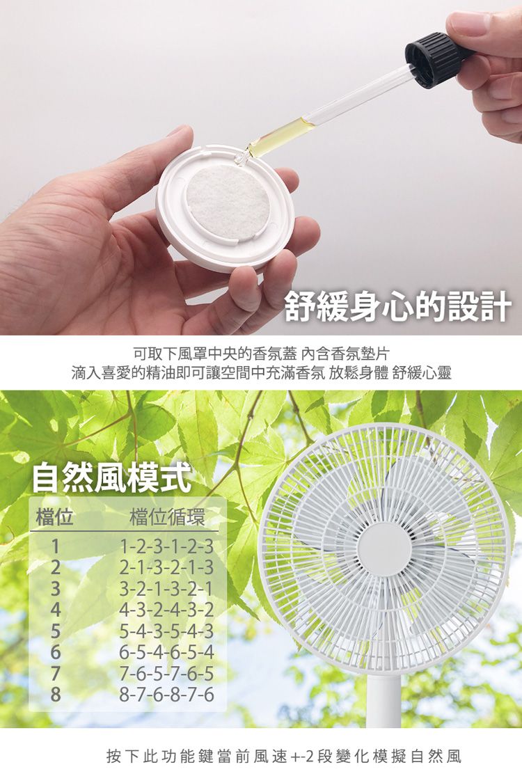 ARTISAN奧堤森 LF1201 - 詳情8