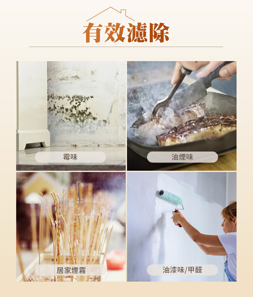 有效濾除霉味油煙味居家煙霧油漆味/甲醛