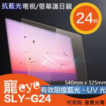 【寵eye】24吋 抗藍光液晶電視/螢幕護目鏡 (SLY-G24)
