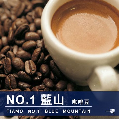 Tiamo NO.1藍山 咖啡豆 450g (HL0546)