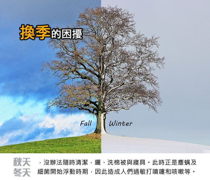 換季的困擾FallWinter秋天沒辦法隨時清潔曬、洗棉被與寢具。此時正是塵螨及 細菌開始浮動時期,因此造成人們過敏打噴嚏和咳嗽等。