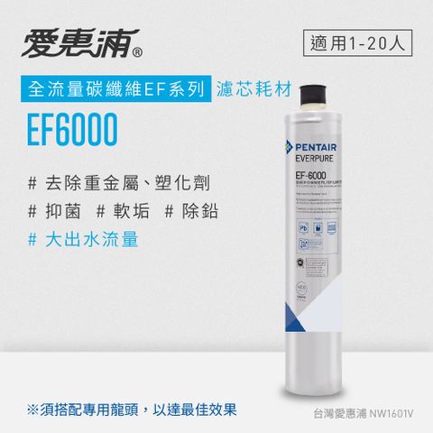 贈原廠休閒手提袋愛惠浦 EVERPURE EF6000碳纖活性碳濾芯(DIY更換)