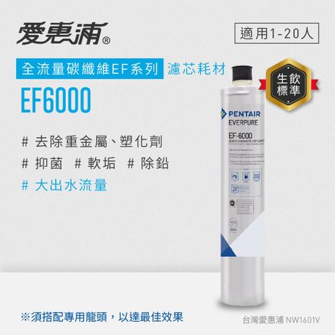 【愛惠浦公司貨】EVERPURE淨水濾芯(EF6000 CART)