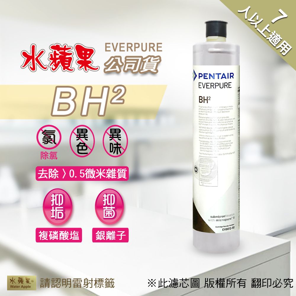 EVERPURE 愛惠浦  【水蘋果公司貨】 BH2 淨水濾心