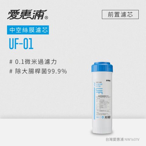 EVERPURE 愛惠浦 公規10英吋中空絲膜濾芯1支 UF-01(DIY更換)