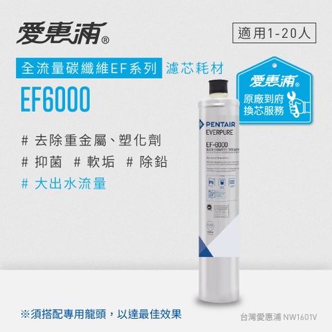 贈原廠休閒手提袋愛惠浦 EVERPURE EF6000碳纖活性碳濾芯(到府更換)