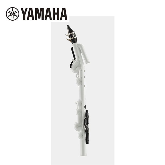 YAMAHA 山葉  YVS-100 管樂器 原廠公司貨 商品保固有保障