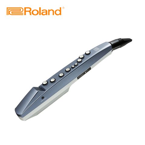 Roland 樂蘭 AE-01 Aerophone mini 數位吹管 原廠公司貨 商品保固有保障