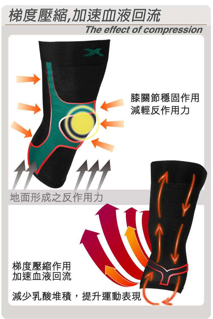 梯度壓縮,加速血液回流The effect of compression地面形成之反作用力膝關節穩固作用減輕反作用力梯度壓縮作用加速血液回流減少乳酸堆積,提升運動表現