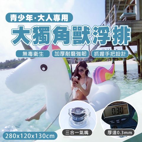 【泳具系列】夏季家庭 巨型浮排