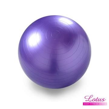【南紡購物中心】 LOTUS 瑜珈抗力球 65cm伸展健身防爆瑜珈球-紫色