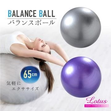 【南紡購物中心】 LOTUS 瑜珈抗力球 65cm伸展健身防爆瑜珈球-2色