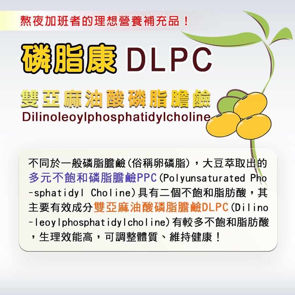 熬夜加班者的理想營養補充品!磷康 DLPC脂Dilinoleoylphosphatidylcholine不同於一般磷脂膽鹼(俗稱卵磷脂),大豆萃取出的多元不飽和磷脂膽鹼PPC(Polyunsaturated Pho-sphatidyl Choline)具有二個不飽和脂肪酸,其主要有效成分雙亞麻油酸磷脂膽鹼DLPC(Dilino-leoylphosphatidylcholine)有較多不飽和脂肪酸生理效能高,可調整體質、維持健康!