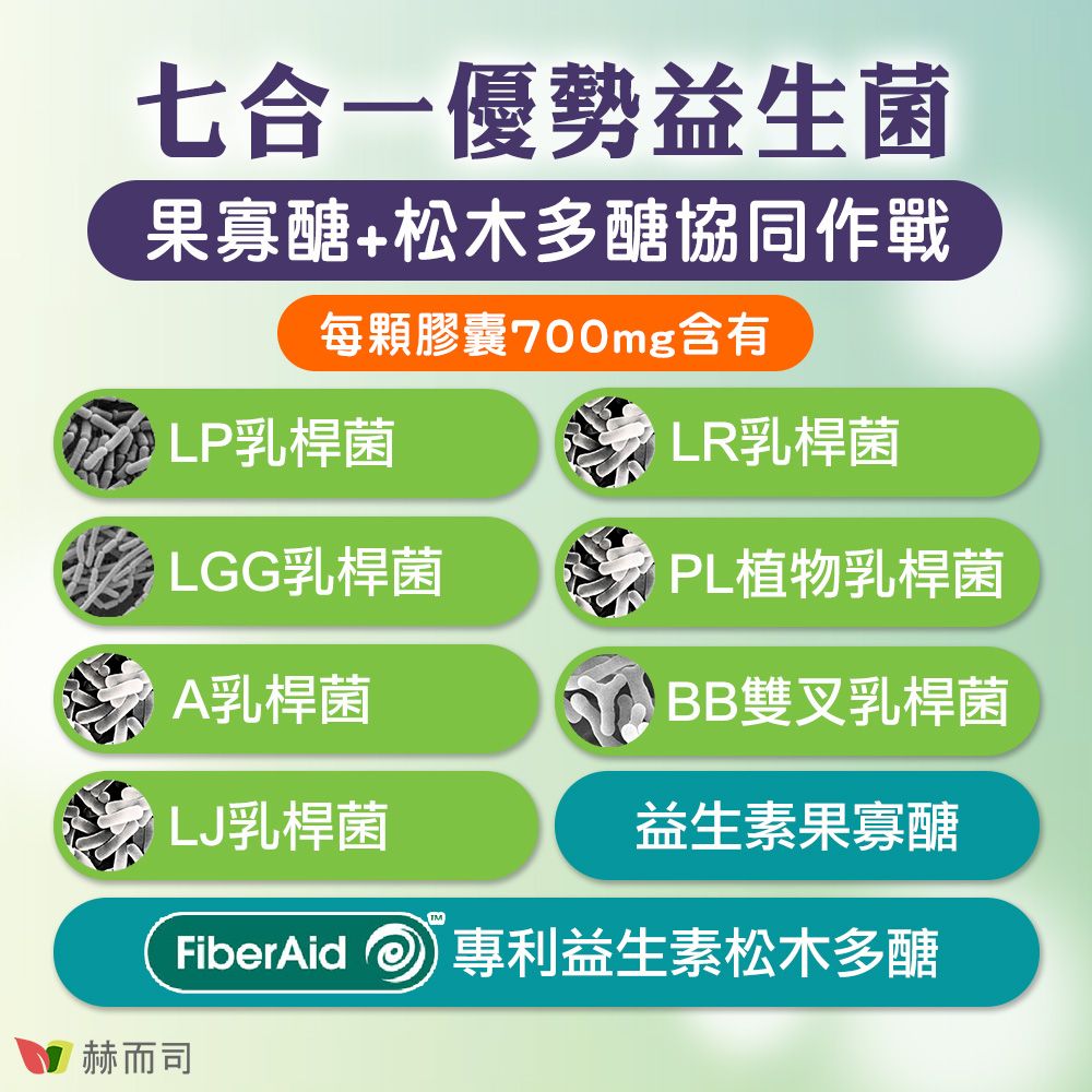 七合一優勢益生菌果寡醣+松木多醣協同作戰每顆膠囊700mg含有LP乳桿菌LR乳桿菌 LGG乳桿菌PL植物乳桿菌赫而司A乳桿菌LJ乳桿菌BB雙叉乳桿菌益生素果寡醣FiberAid 專利益生素松木多醣
