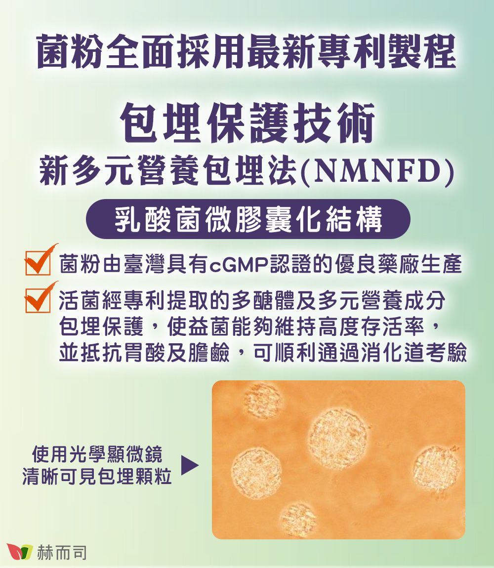 菌粉全面採用最新專利製程包埋保護技術新多元營養包埋法(NMNFD)乳酸菌微膠囊化結構菌粉由臺灣具有cGMP認證的優良藥廠生產活菌經專利提取的多醣體及多元營養成分包埋保護,使益菌能夠維持高度存活率,並抵抗胃酸及膽鹼,可順利通過消化道考驗使用光學顯微鏡清晰可見包埋顆粒 赫而司