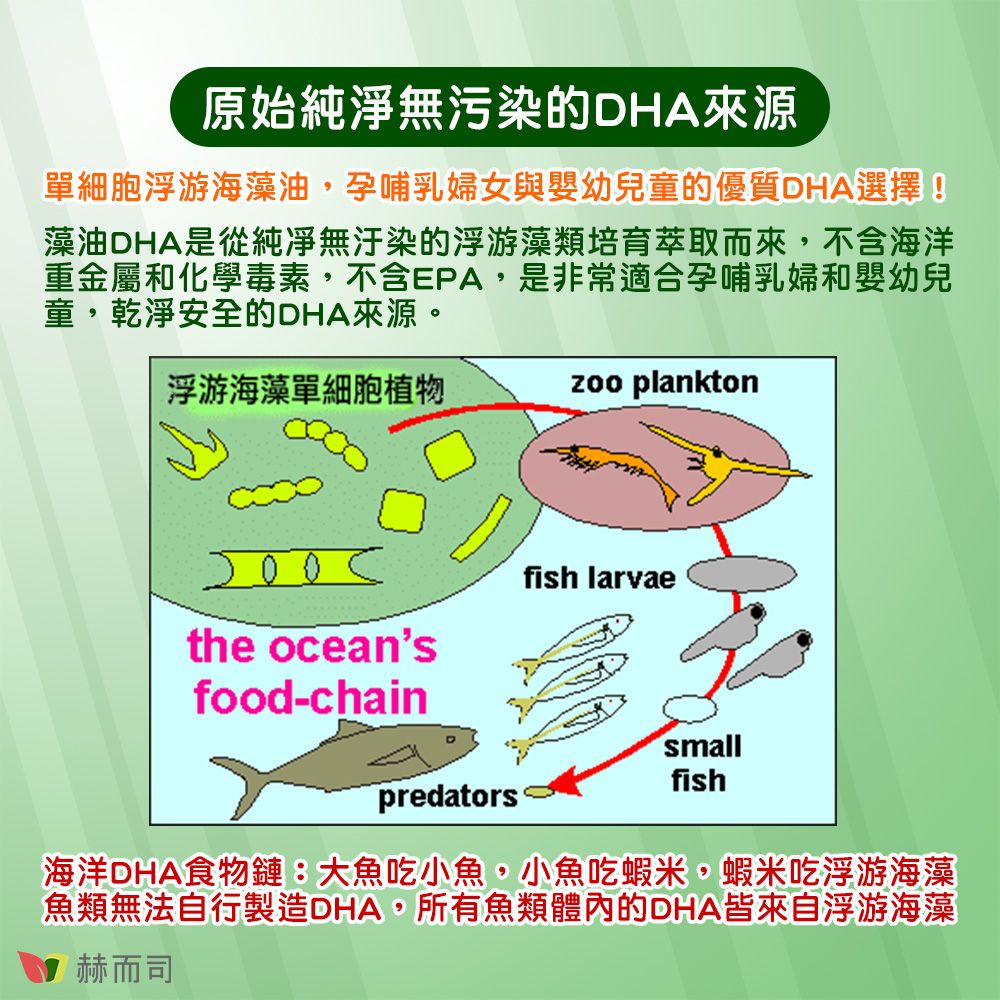 原始純淨無污染的DHA單細胞浮游海藻油孕哺乳婦女與嬰幼兒童的優質DHA選擇!藻油DHA是從純淨無汙染的浮游藻類培育萃取而來,不含海洋重金屬和化學毒素,不含EPA,是非常適合孕哺乳婦和嬰幼兒童,乾淨安全的DHA來源。浮游海藻單細胞植物 planktonthe oceansfood-chainfish larvaesmallfishpredators海洋DHA食物鏈:大魚吃小魚,小魚吃蝦米,蝦米吃浮游海藻魚類無法自行製造DHA,所有魚類體內的DHA皆來自浮游海藻赫而司