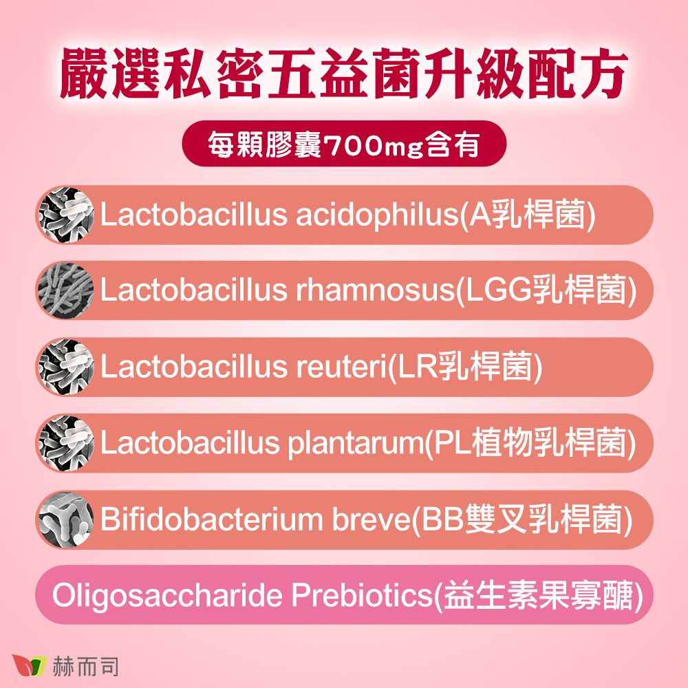 赫而司 【VAGI-Guard婦淨康益生菌】婦淨呵護五益菌強化配方素食膠囊(60顆*2罐)女性私密乳酸菌+果寡糖