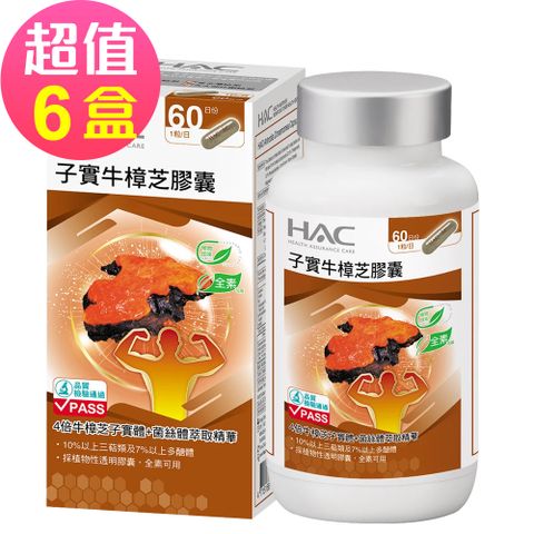 【永信HAC】高濃縮子實牛樟芝膠囊x6瓶(60粒/瓶)