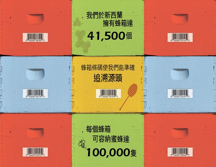 我們於新西蘭擁有蜂箱達41,500個蜂箱條碼使我們能準確追溯源頭 48759 036000 39109 036000 30491 036000 0953 2每個蜂箱可容納蜜蜂達100,000036000 38948 2