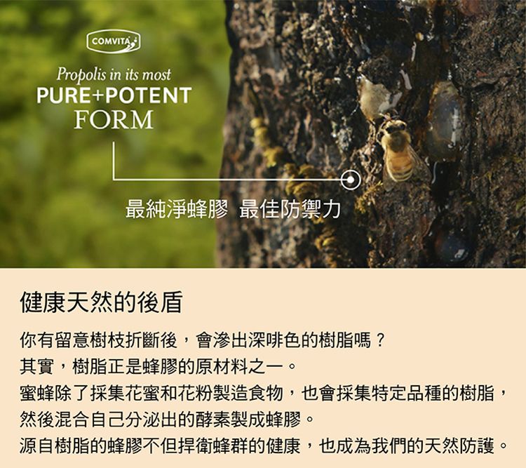 CMVITAPropolis in its mostPUREPOTENTFORM最純淨蜂膠 最佳防禦力O健康天然的後盾你有留意樹枝折斷後,會滲出深啡色的樹脂嗎?其實,樹脂正是蜂膠的原材料之一。蜜蜂除了採集花蜜和花粉製造食物,也會採集特定品種的樹脂,然後混合自己分泌出的酵素製成蜂膠。源自樹脂的蜂膠不但捍衛蜂群的健康,也成為我們的天然防護。