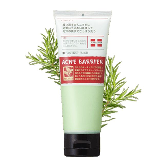 石澤研究所  茶樹驅油-毛孔淨化洗面乳 100g