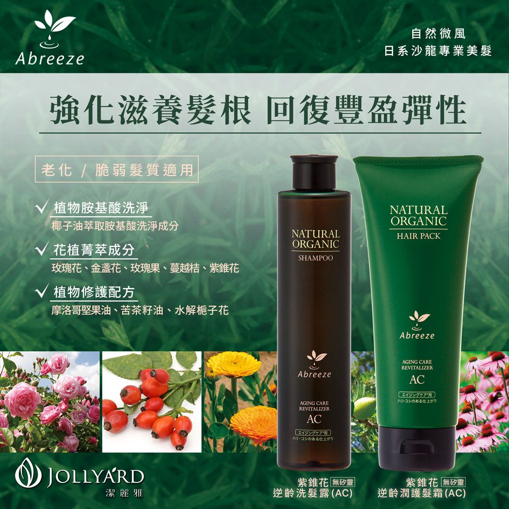 Jollyard 潔麗雅  自然微風 紫錐花逆齡 洗髮露+潤護髮霜(AC)