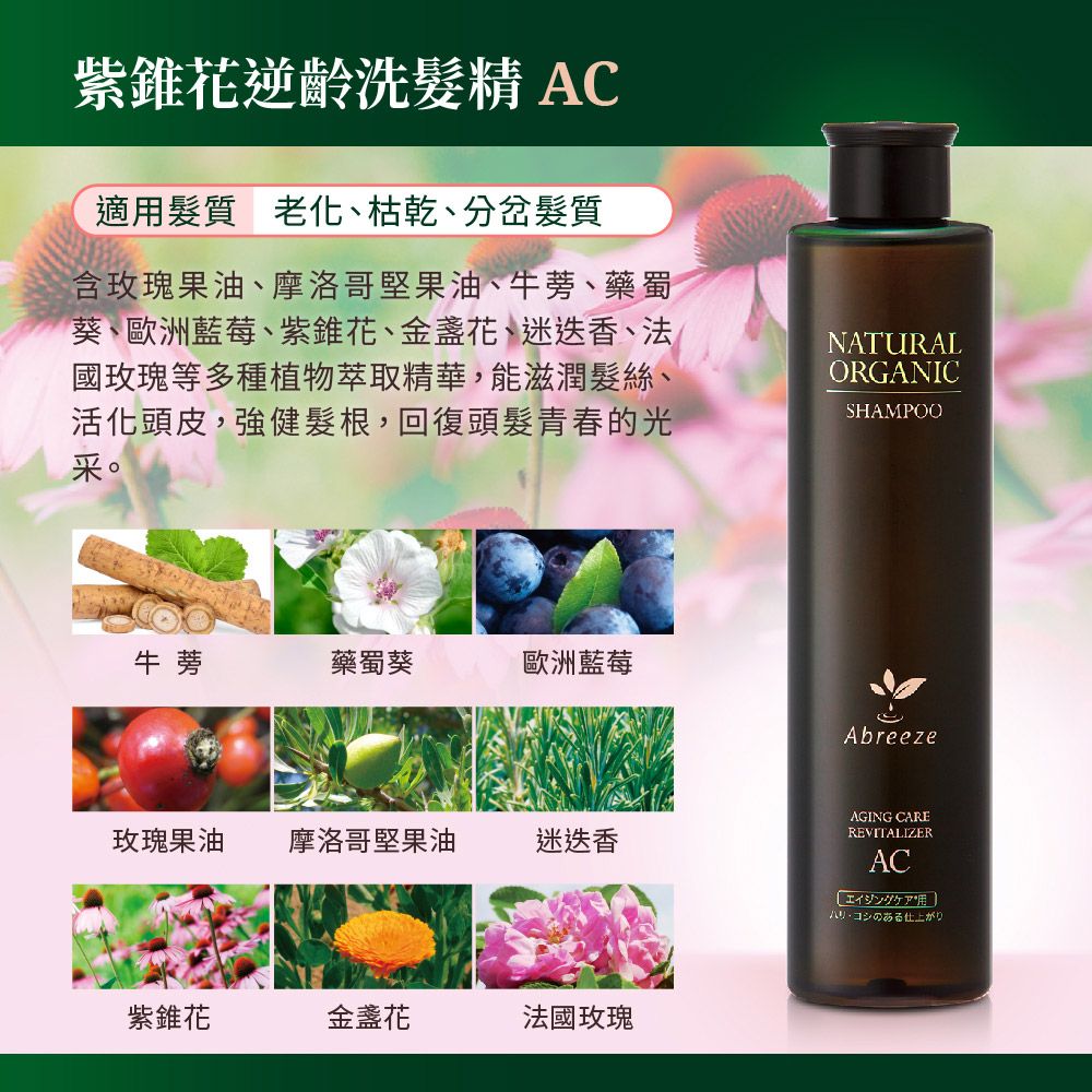 Jollyard 潔麗雅  自然微風 紫錐花逆齡 洗髮露+潤護髮霜(AC)