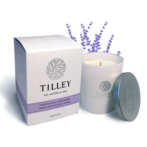 Tilley 百年特莉 薰衣草香氛大豆蠟燭240g