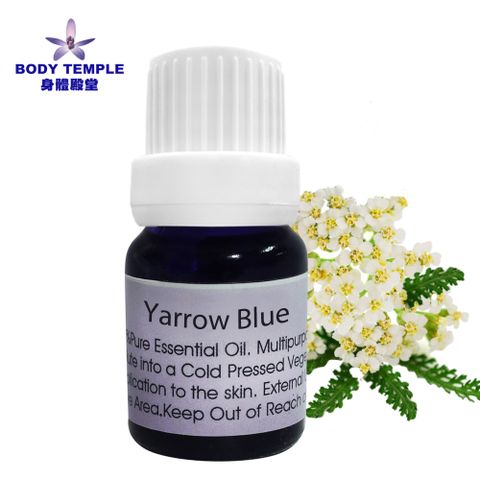 Body Temple 身體殿堂 100%西洋耆草(Yarrow Blue)芳療精油5ml