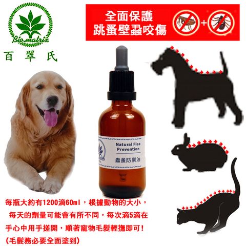 跳蚤咬就用這救濟!!百翠氏天然草本天然防蟲驅蟲~寶貝狗用驅蟲防蚤防禦精油 60ml~跳蚤壁蝨跑光光