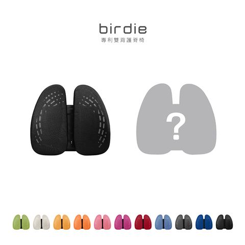 Birdie-德國專利雙背護脊墊/辦公坐椅護腰墊/汽車靠墊(多色可選-兩入組合)
