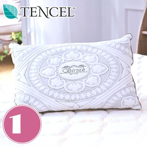 IHouse 愛屋家具 TENCEL青森竹炭天絲枕-1入