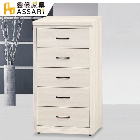 ASSARI -威爾2尺五斗櫃(寬61x深49x高114cm)