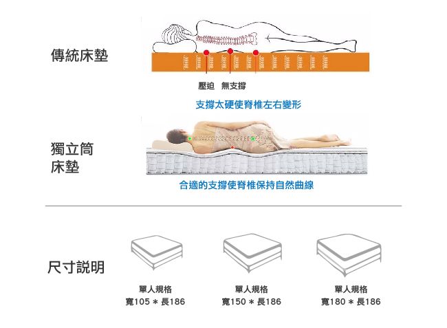 傳統床墊壓迫 無支撐支撐太硬使左右變形獨立筒床墊尺寸說明合適的使脊椎保持自然曲線單人規格寬105長186單人規格寬150長186單人規格寬180長186