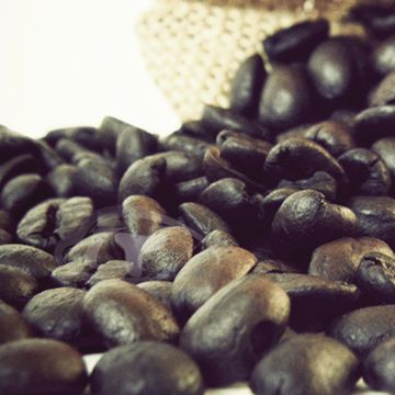 【Gustare caffe】精選東帝汶咖啡豆隨手包隨手包(110±5g/包)