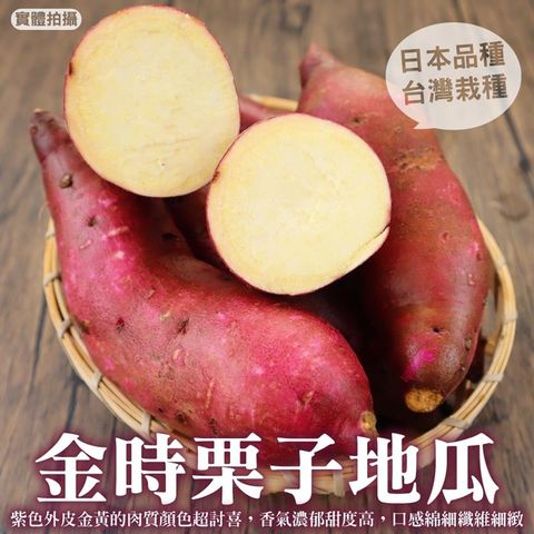【WANG蔬果】日本品種金時栗子地瓜(5斤±10%)