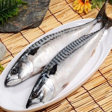 【華得水產】挪威鯖魚3尾(550-600g/包/整尾)