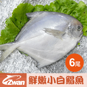 日丸水產 嚴選鮮嫩正小白鯧魚6尾(420g10%/包)