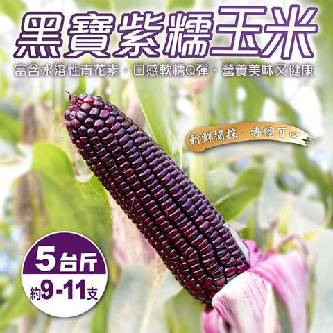 【WANG蔬果】黑寶紫糯米玉米(5斤±10%)