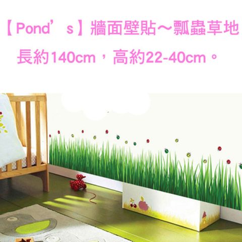 POND'S 【Ponds】牆面壁貼瓢蟲草地/長約140cm