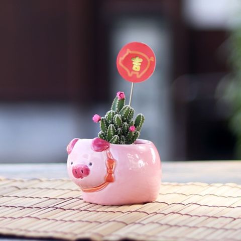 【迎光】粉紅豬陶瓷植栽