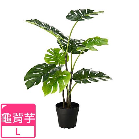 Meric Garden 北歐風格居家裝飾高仿真大型景觀植栽擺設盆栽_龜背芋L